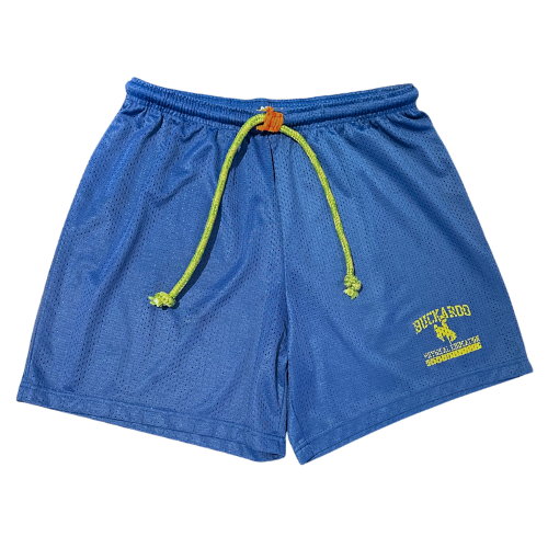 Blue vintage reworked athletic shorts